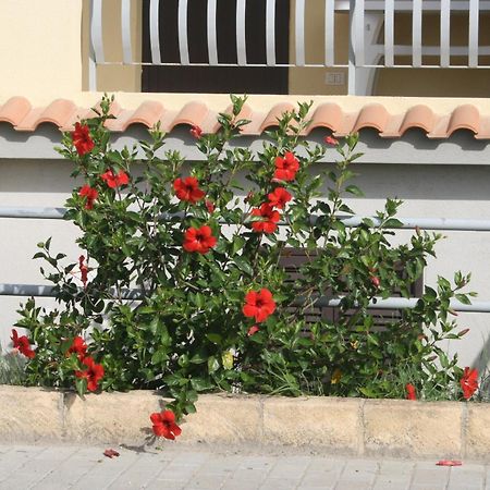 Baia Dei Canonici Aparthotel Villaggio Le Rocelle Bagian luar foto