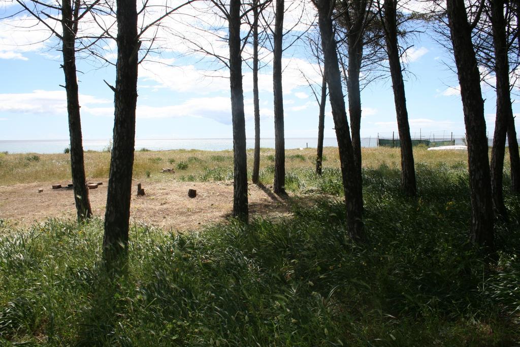 Baia Dei Canonici Aparthotel Villaggio Le Rocelle Bagian luar foto