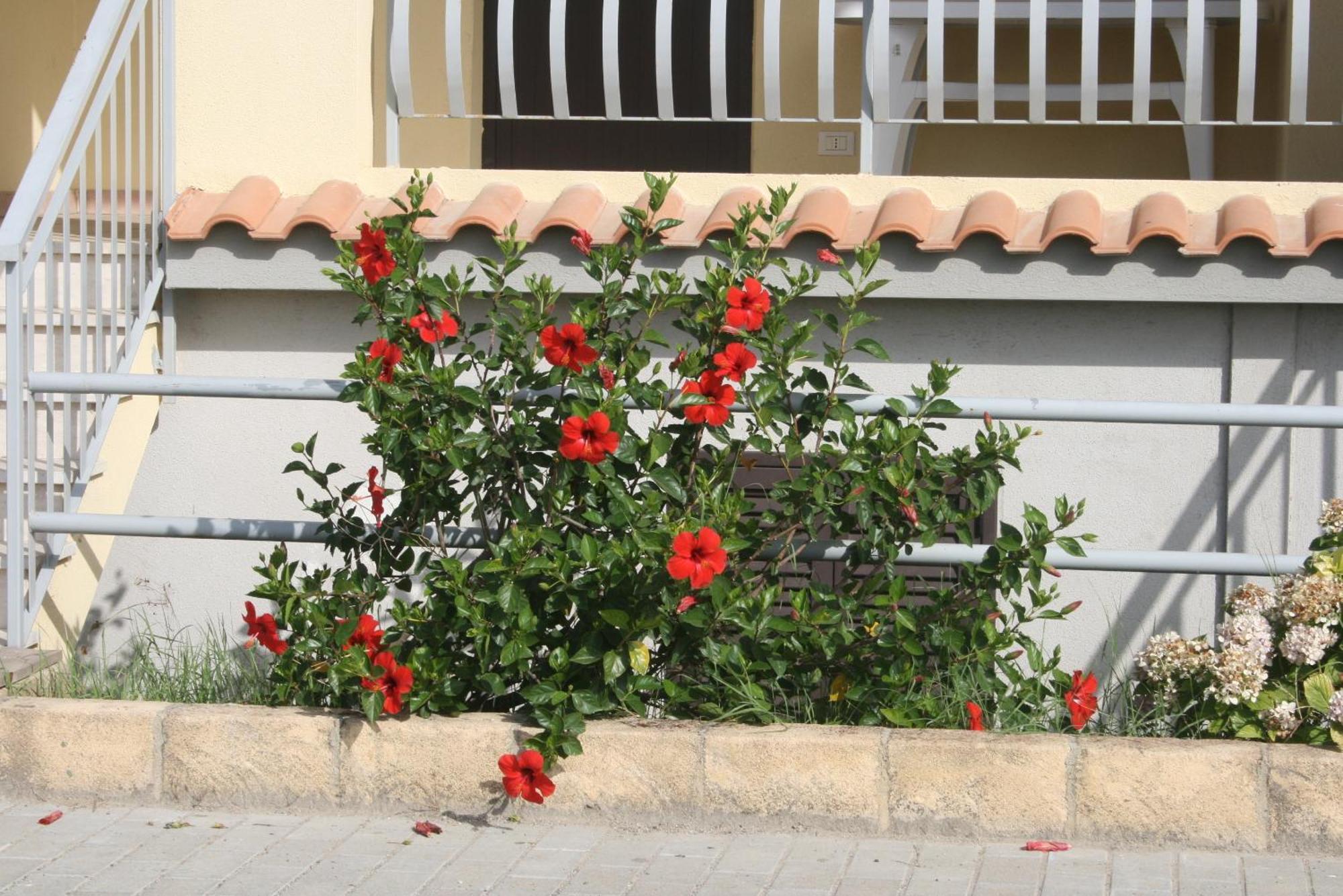 Baia Dei Canonici Aparthotel Villaggio Le Rocelle Bagian luar foto