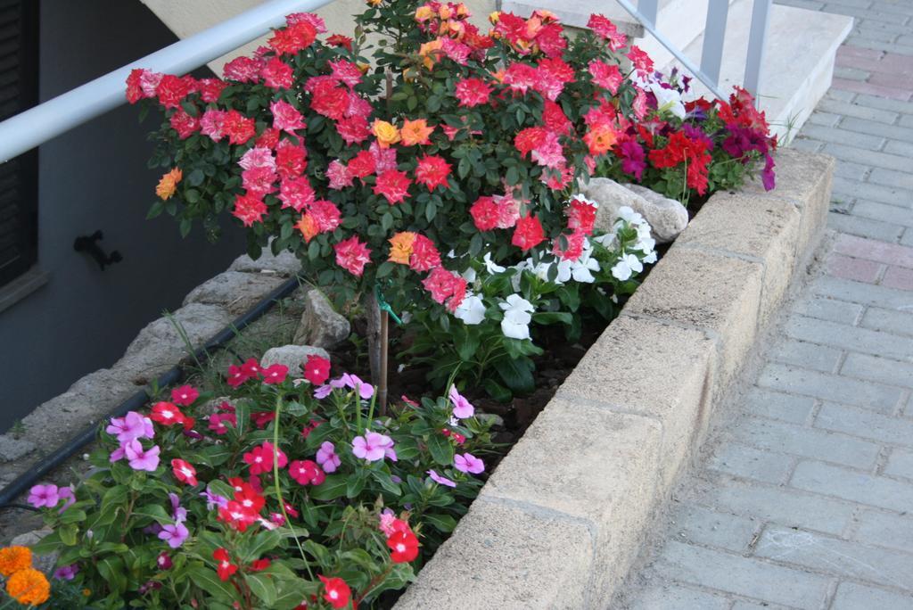 Baia Dei Canonici Aparthotel Villaggio Le Rocelle Bagian luar foto